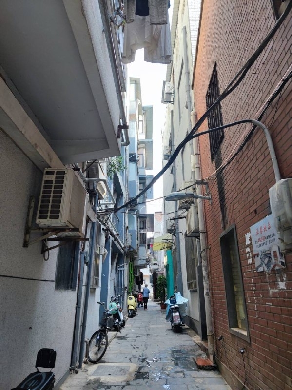 导航玫瑰街，一条街全是站街 年